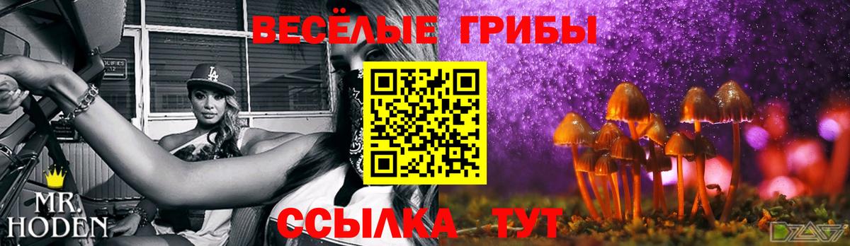 Галлюциногенные грибы Psilocybe Нефтекамск